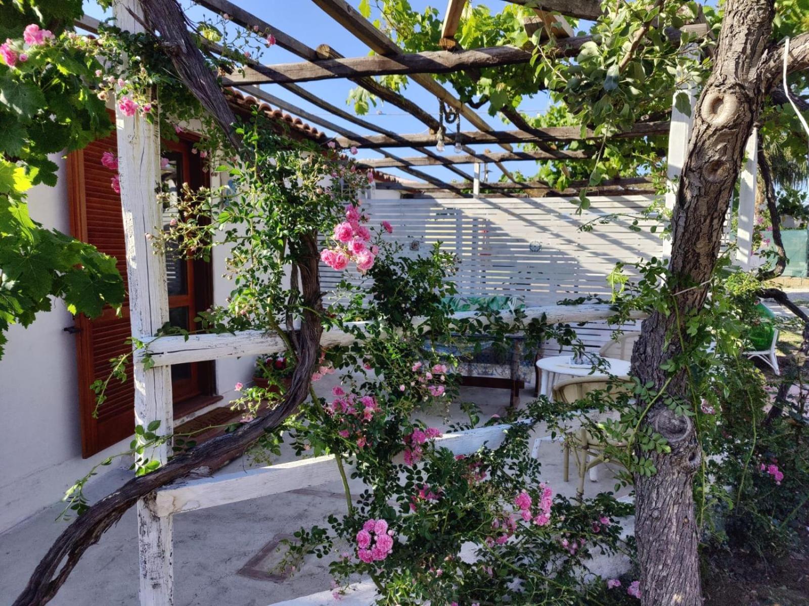 Villa Casa Spezzara à Santa Domenica  Extérieur photo